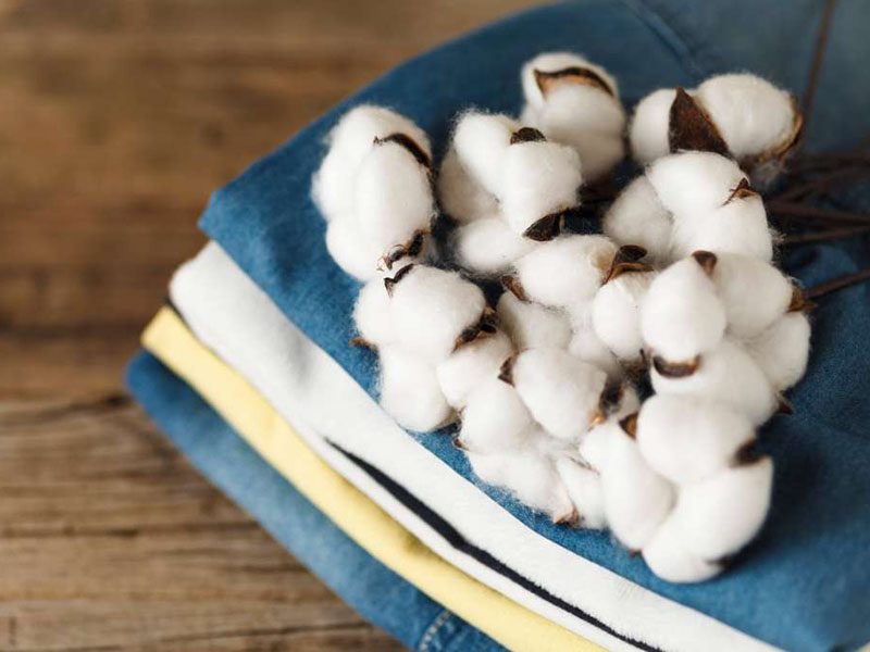 Cotton bolls resting on folded fabric swatches on wooden table