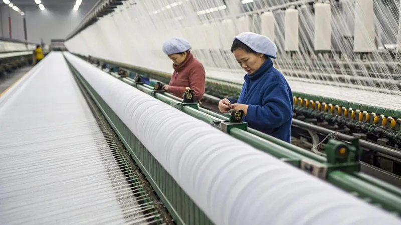 Two textile workers monitoring yarn threads on a large industrial weaving machine line