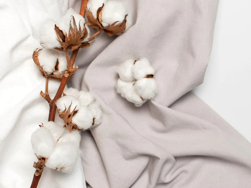 A branch of raw cotton bolls resting on two pieces of fabric, one white and one light beige. The cotton fibers are fluffy and white, with brown dried husks still attached.