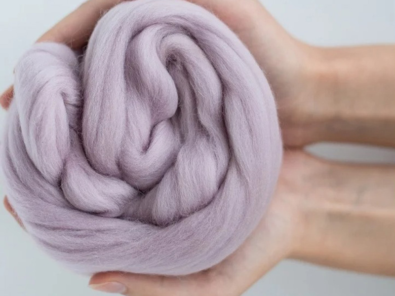 A pair of hands gently holding a soft, rolled bundle of lavender-colored wool roving, showing its fluffy texture and fibrous quality.