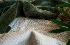 Close-up of soft textured green and beige fabric with natural plant detail.