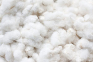 Close-up of fluffy white Supima cotton fibers, showing soft, high-quality raw cotton used for premium textile and apparel production.